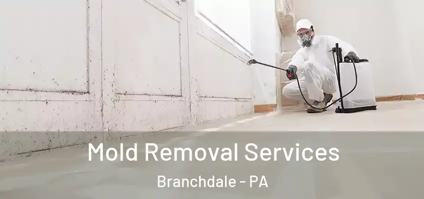  Mold Removal Services Branchdale - PA