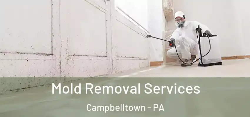 Mold Removal Services Campbelltown - PA