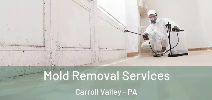  Mold Removal Services Carroll Valley - PA