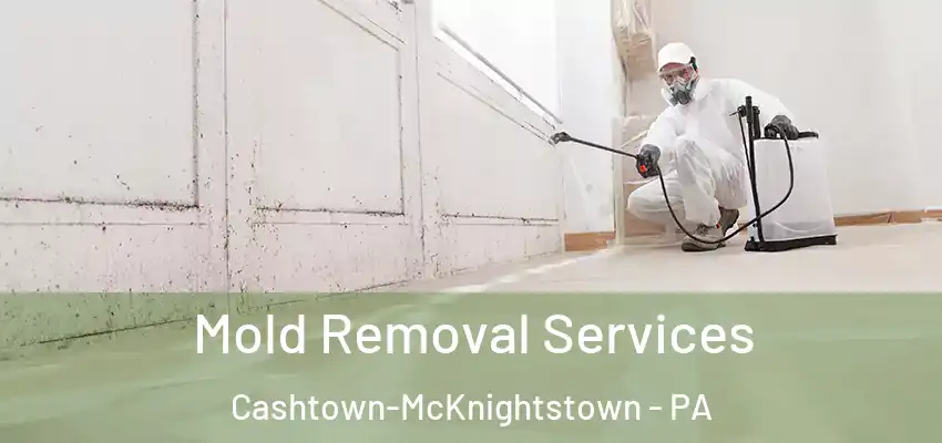  Mold Removal Services Cashtown-McKnightstown - PA