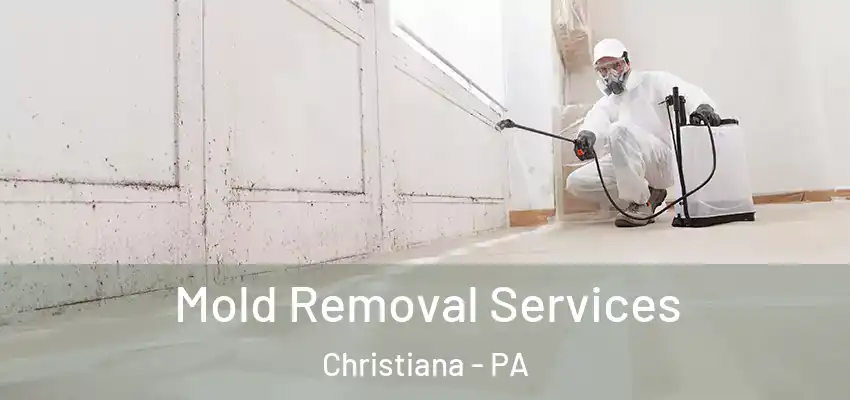 Mold Removal Services Christiana - PA