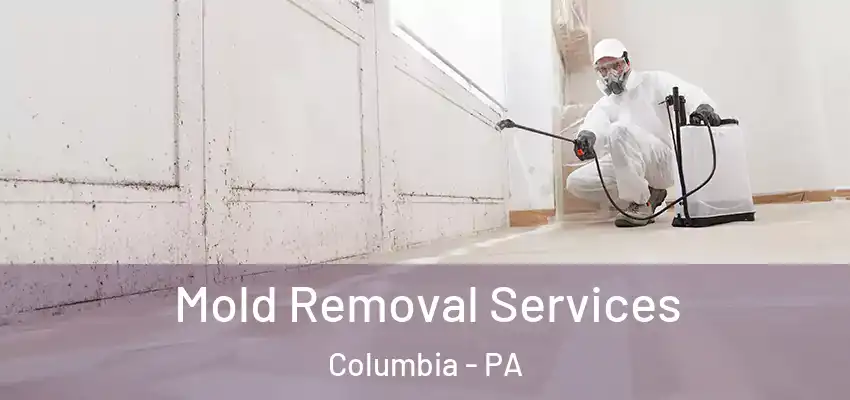 Mold Removal Services Columbia - PA