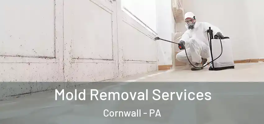  Mold Removal Services Cornwall - PA