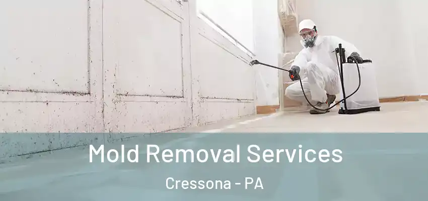  Mold Removal Services Cressona - PA