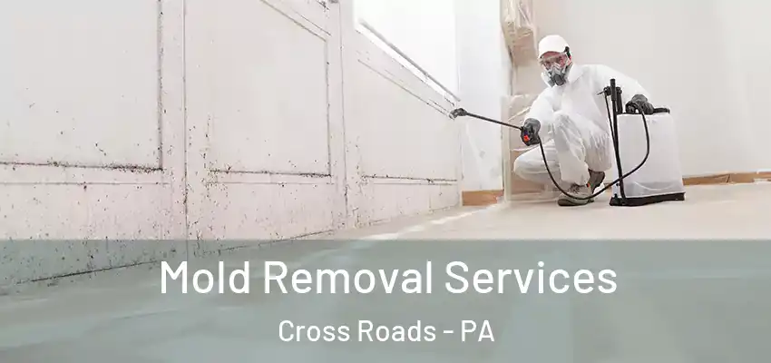  Mold Removal Services Cross Roads - PA