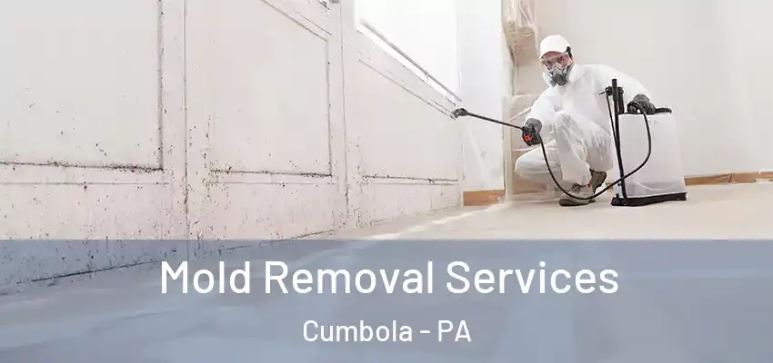 Mold Removal Services Cumbola - PA