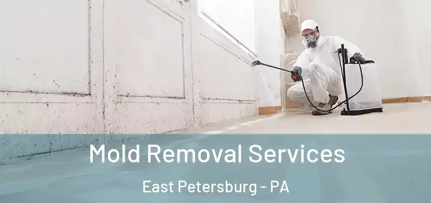 Mold Removal Services East Petersburg - PA