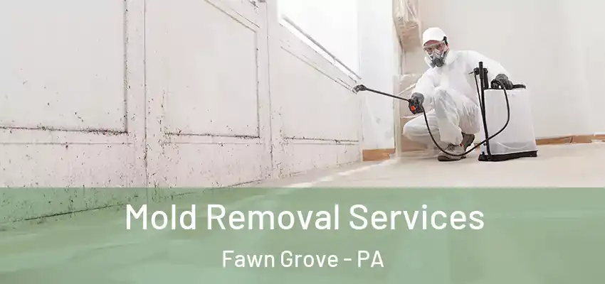 Mold Removal Services Fawn Grove - PA