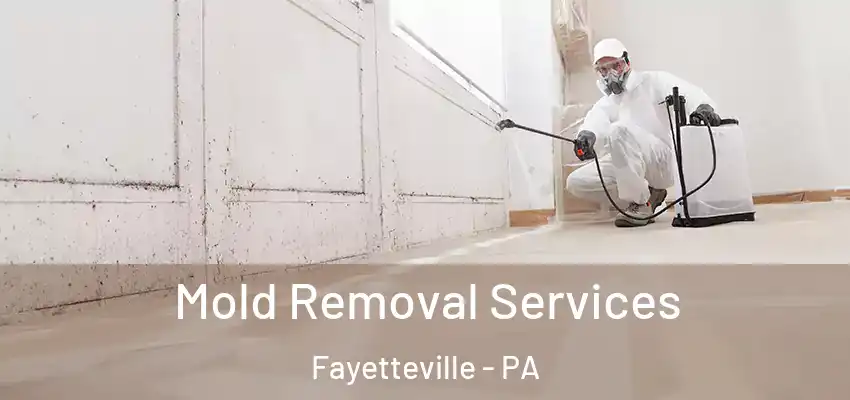 Mold Removal Services Fayetteville - PA
