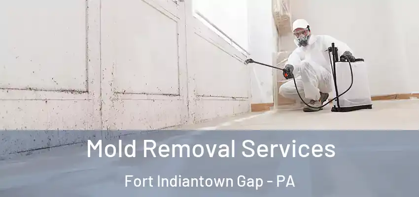  Mold Removal Services Fort Indiantown Gap - PA