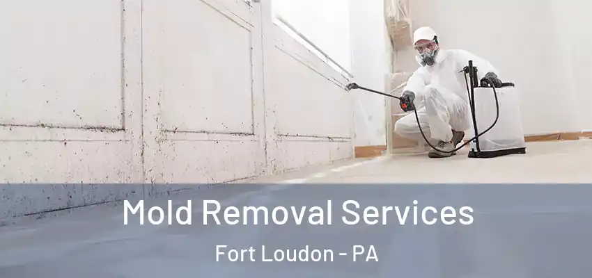  Mold Removal Services Fort Loudon - PA