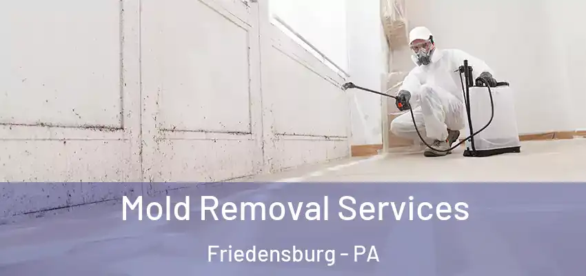  Mold Removal Services Friedensburg - PA