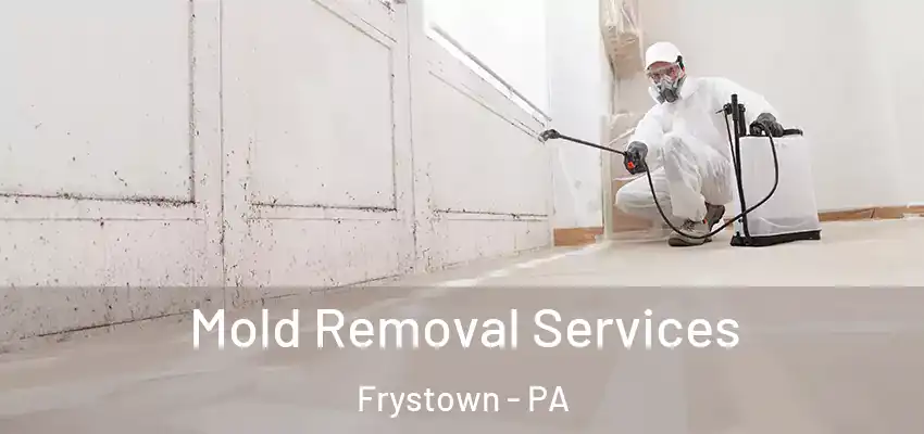 Mold Removal Services Frystown - PA