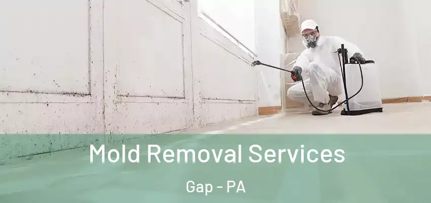 Mold Removal Services Gap - PA