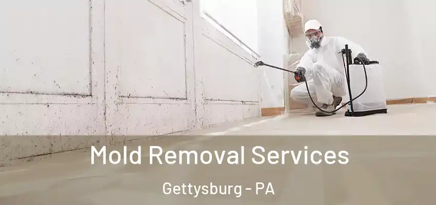  Mold Removal Services Gettysburg - PA