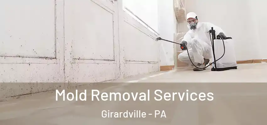 Mold Removal Services Girardville - PA