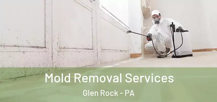  Mold Removal Services Glen Rock - PA