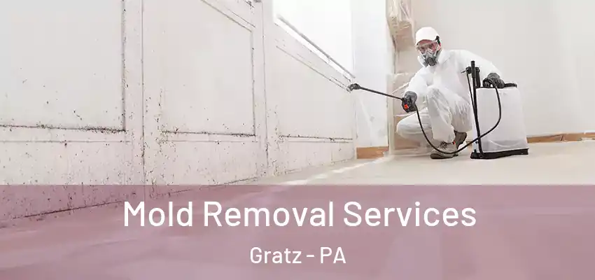 Mold Removal Services Gratz - PA