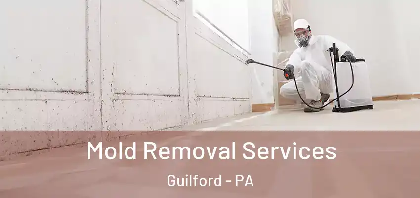 Mold Removal Services Guilford - PA