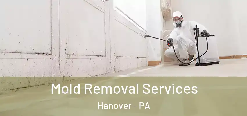  Mold Removal Services Hanover - PA
