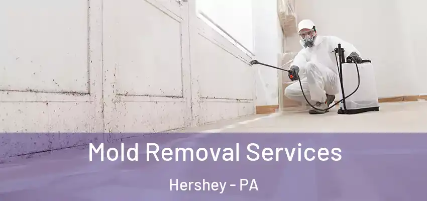  Mold Removal Services Hershey - PA
