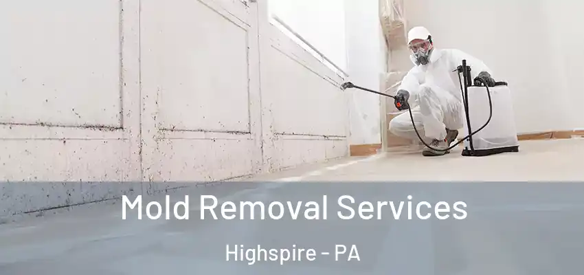 Mold Removal Services Highspire - PA