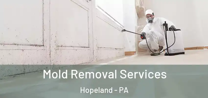 Mold Removal Services Hopeland - PA