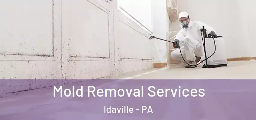  Mold Removal Services Idaville - PA