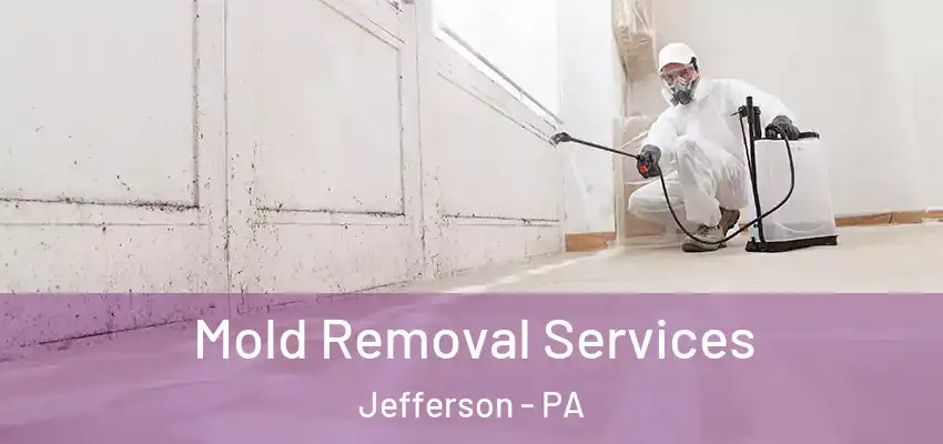  Mold Removal Services Jefferson - PA
