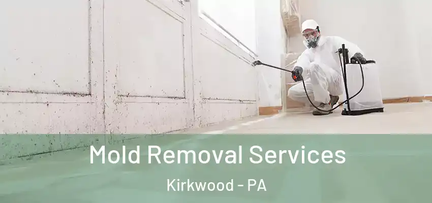  Mold Removal Services Kirkwood - PA