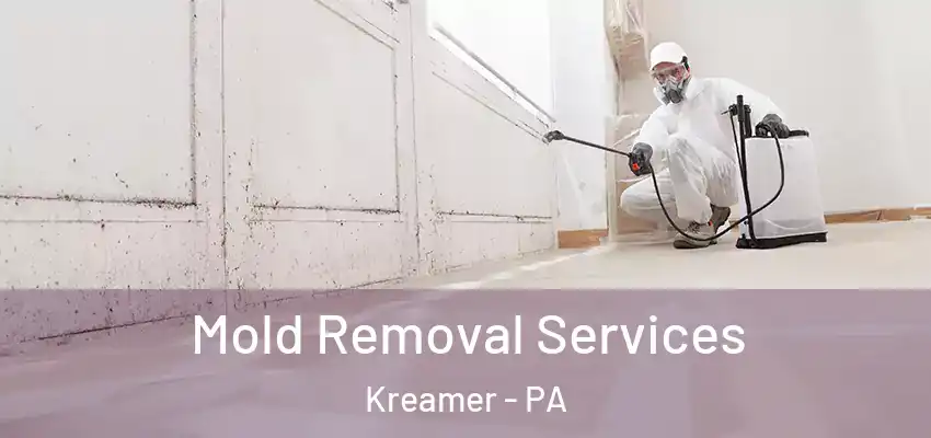  Mold Removal Services Kreamer - PA