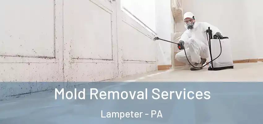 Mold Removal Services Lampeter - PA