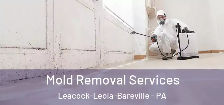  Mold Removal Services Leacock-Leola-Bareville - PA