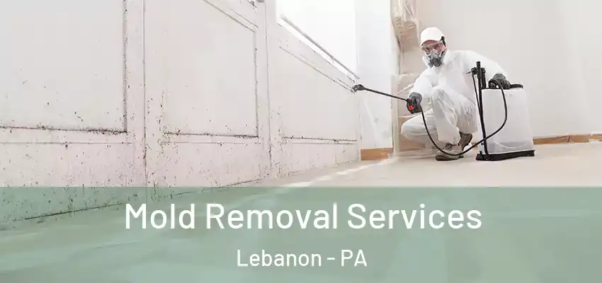  Mold Removal Services Lebanon - PA