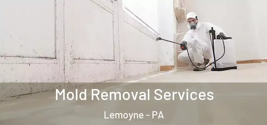 Mold Removal Services Lemoyne - PA