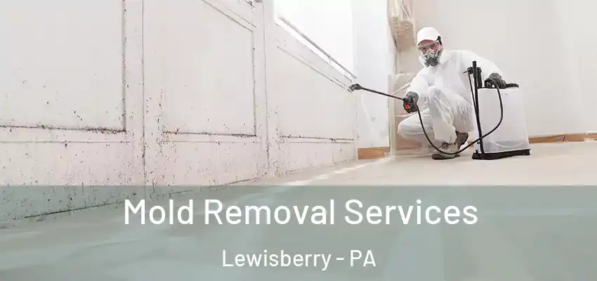  Mold Removal Services Lewisberry - PA