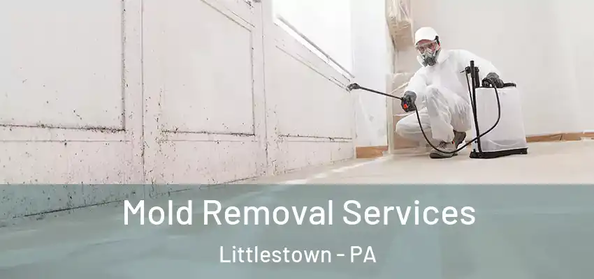  Mold Removal Services Littlestown - PA