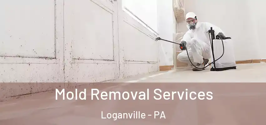 Mold Removal Services Loganville - PA