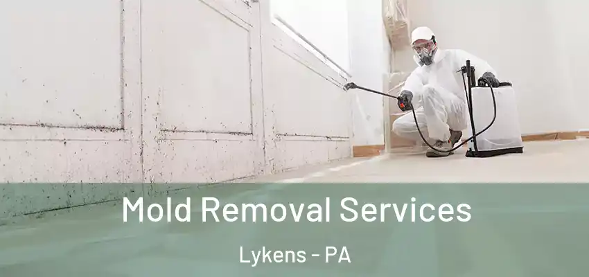 Mold Removal Services Lykens - PA