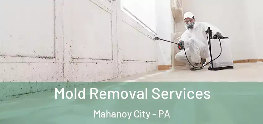 Mold Removal Services Mahanoy City - PA