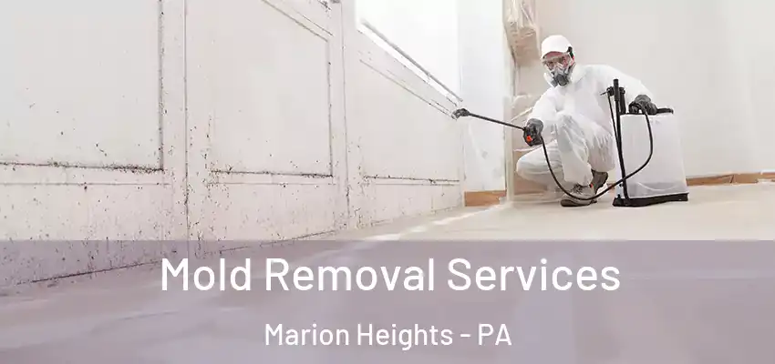  Mold Removal Services Marion Heights - PA