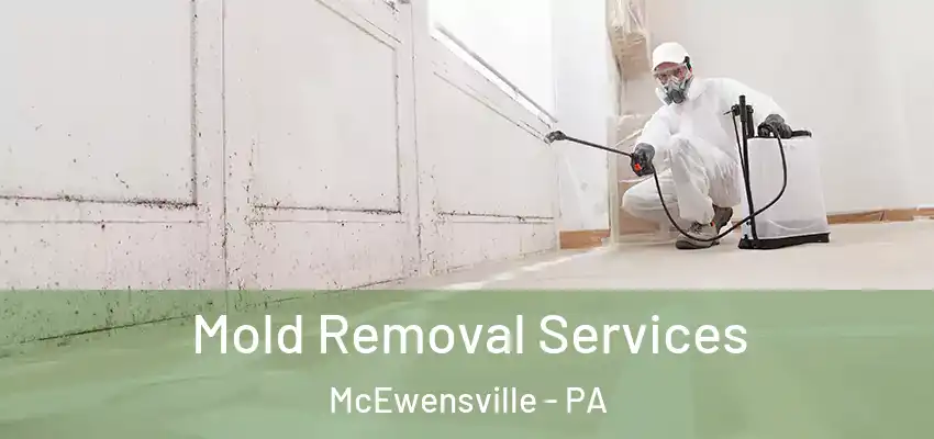 Mold Removal Services McEwensville - PA