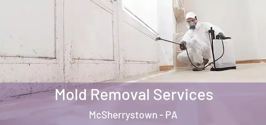Mold Removal Services McSherrystown - PA