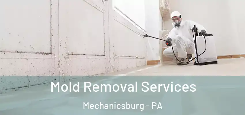  Mold Removal Services Mechanicsburg - PA
