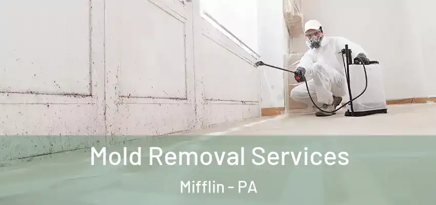  Mold Removal Services Mifflin - PA