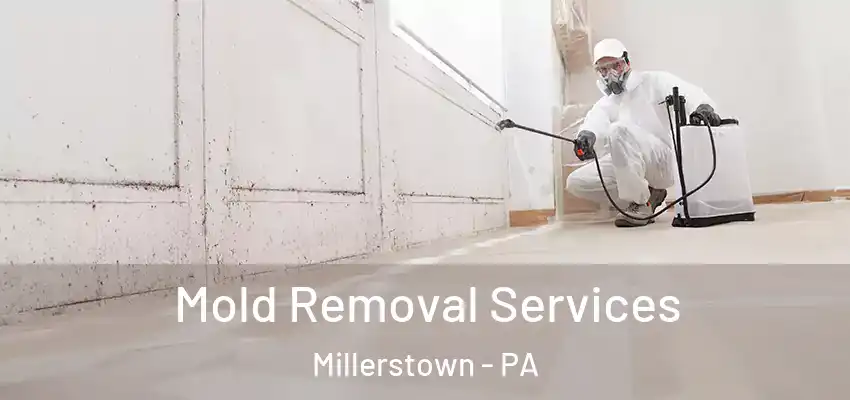 Mold Removal Services Millerstown - PA