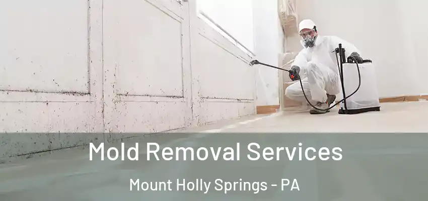 Mold Removal Services Mount Holly Springs - PA