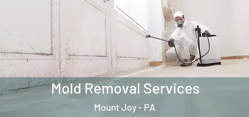  Mold Removal Services Mount Joy - PA