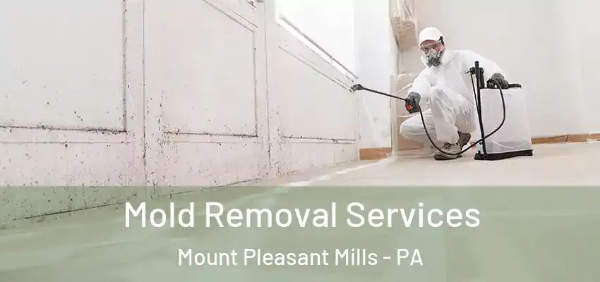Mold Removal Services Mount Pleasant Mills - PA