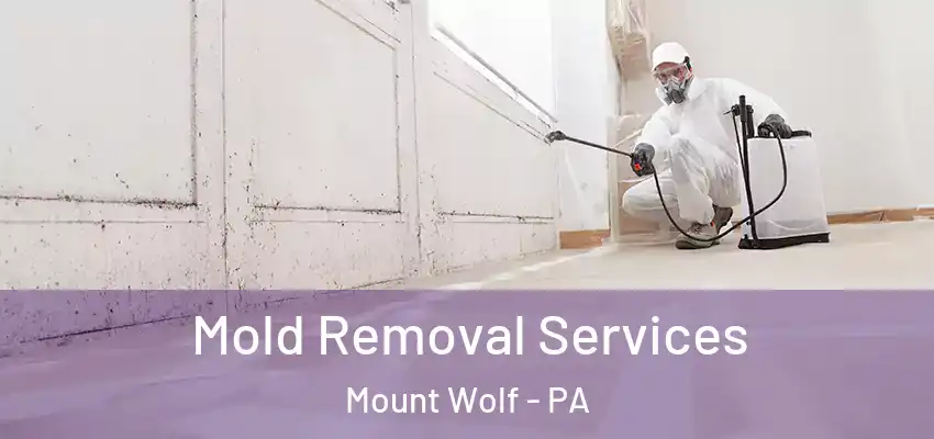 Mold Removal Services Mount Wolf - PA